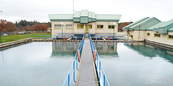 Gestión de Ciclo Integral