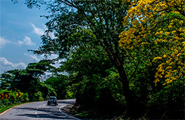  - Valor para la sociedad